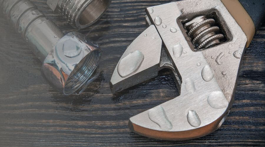 Why choose Quilvex Crown for water damage restoration in Carson